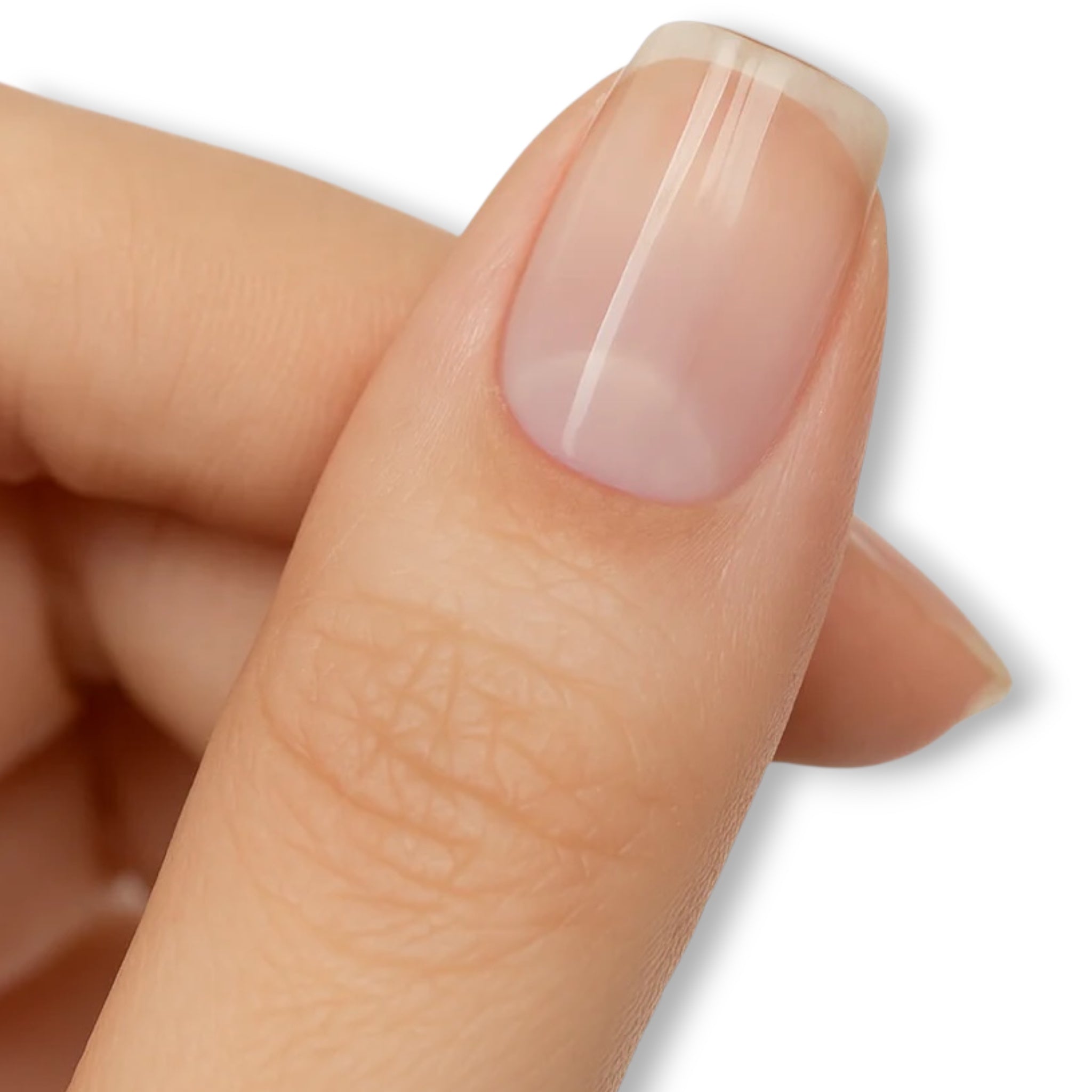 BUILDER GEL IN A POT - CLEAR JELLY CREAM